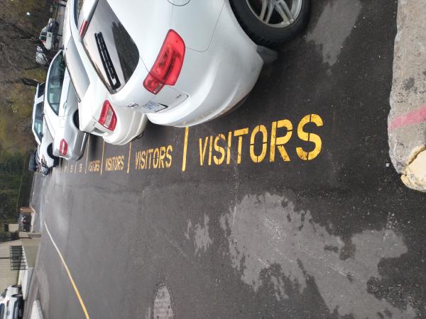 Visitors